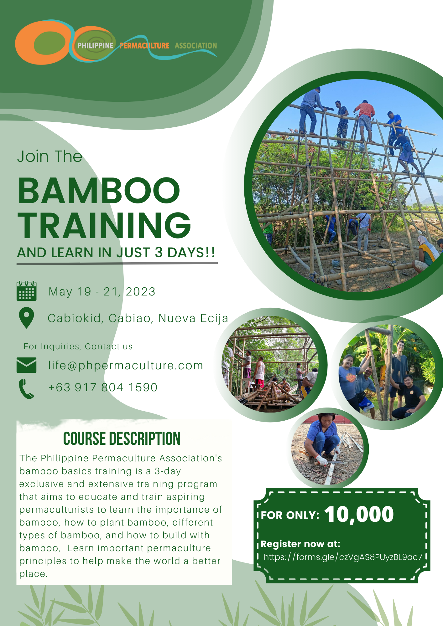 Bamboo Training